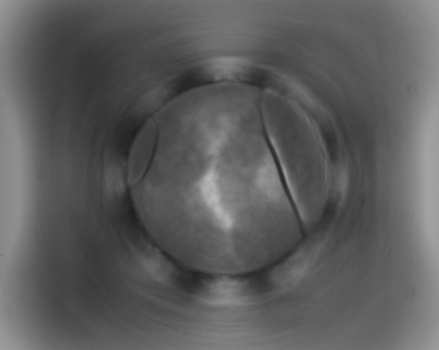 X0000115540413200911061504