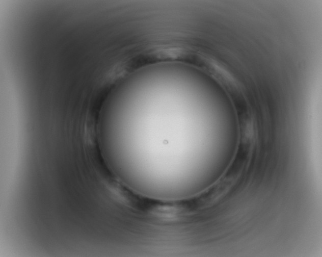 X0000115540414200911061504