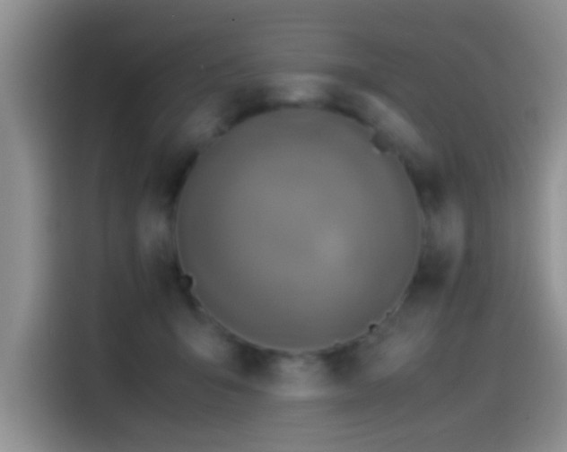 X0000115540415200911061504