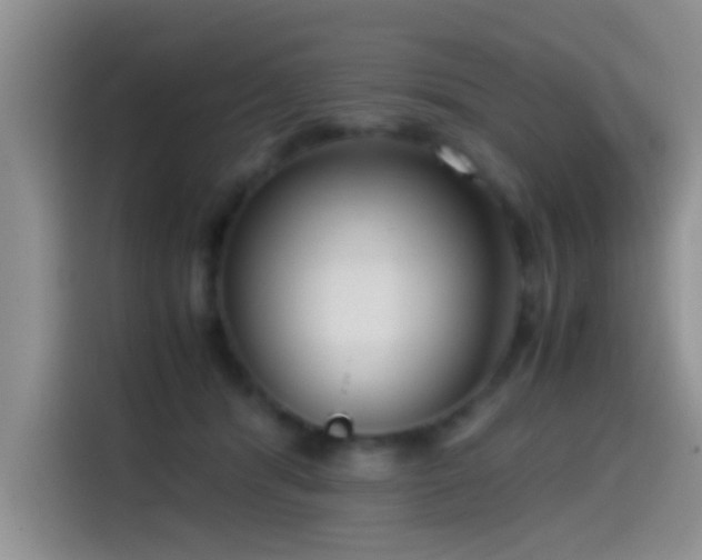 X0000115540416200911061504