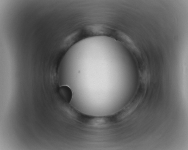 X0000115540418200911061504