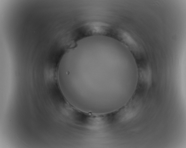 X0000115540419200911061504