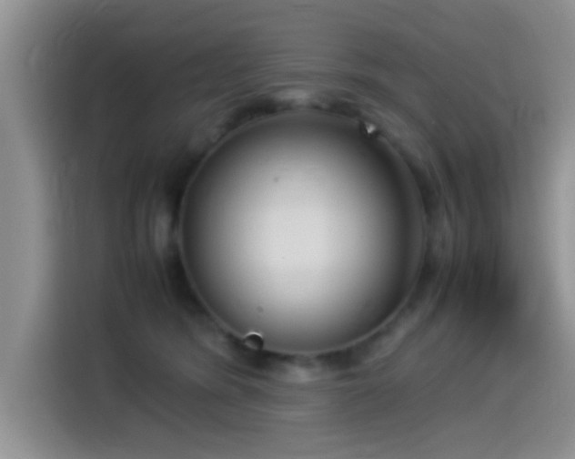 X0000115540420200911061504