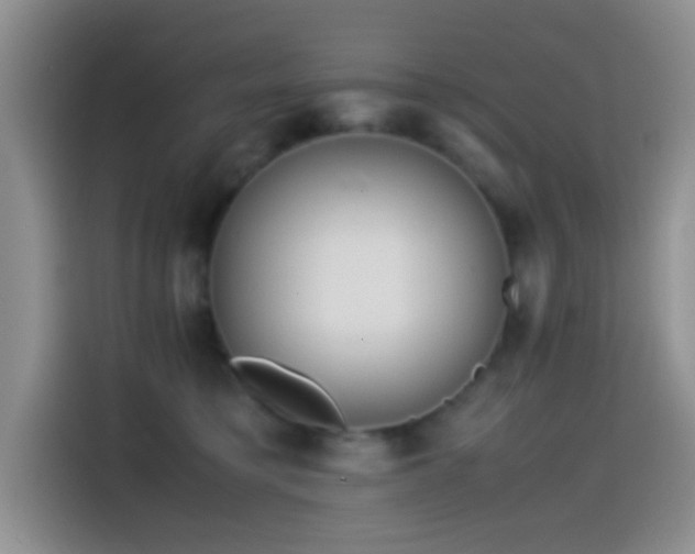 X0000115540421200911061504