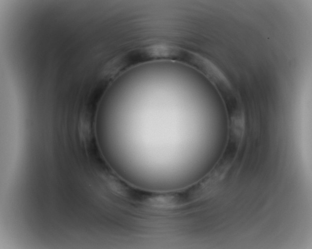 X0000115540422200911061504