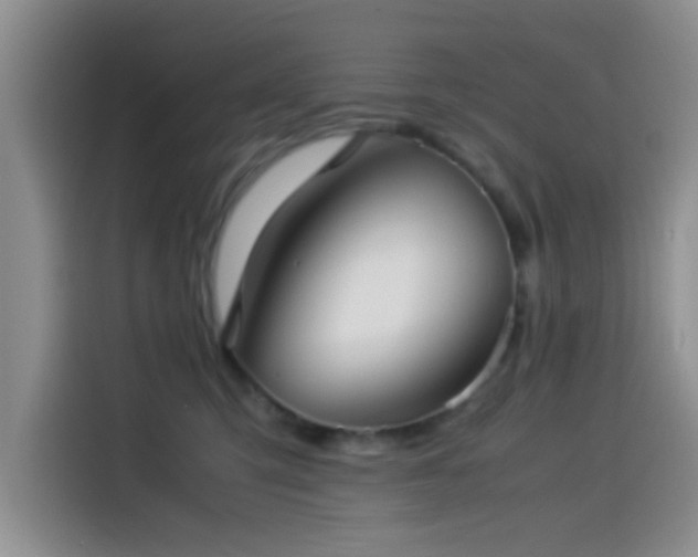 X0000115540423200911061504