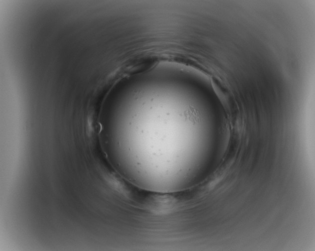 X0000115540424200911061504