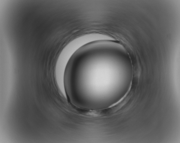 X0000115540425200911061504