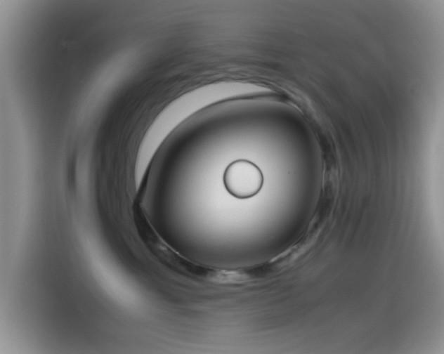 X0000115540429200911061504