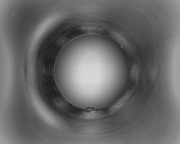 X0000115540430200911061504