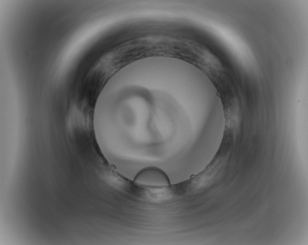 X0000115540431200911061504