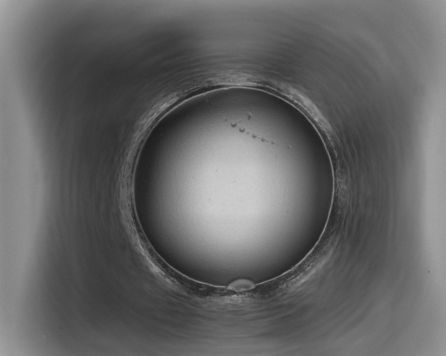 X0000115540433200911061503