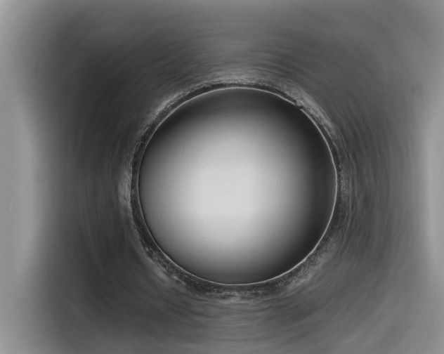 X0000115540434200911061503