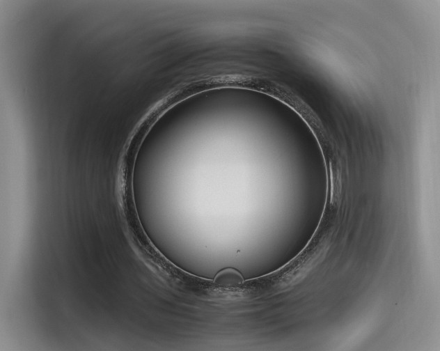 X0000115540435200911061503