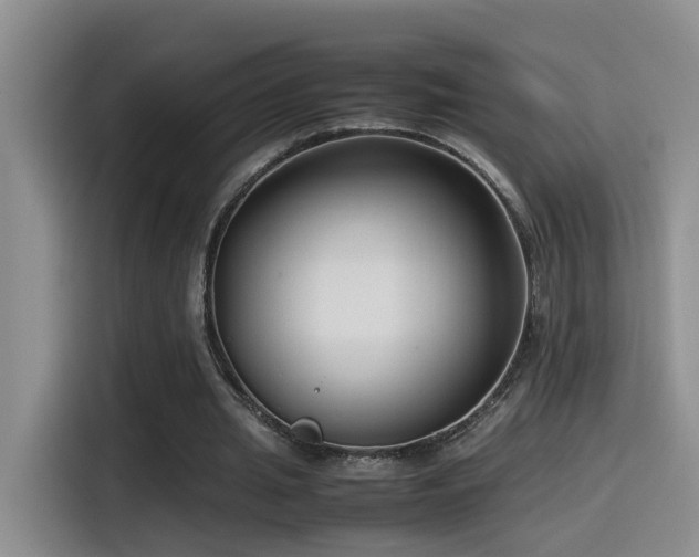 X0000115540437200911061503