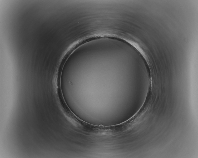 X0000115540438200911061503