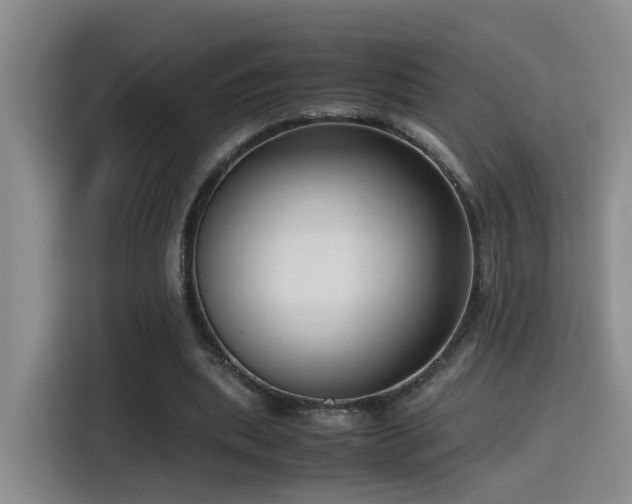 X0000115540439200911061503