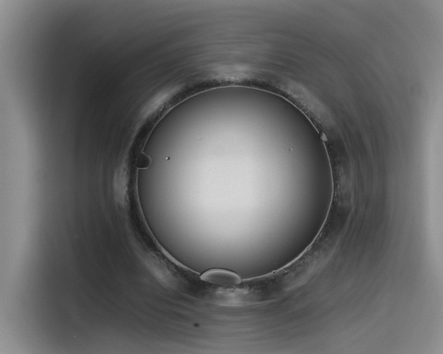 X0000115540440200911061503