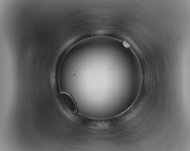 X0000115540443200911061503