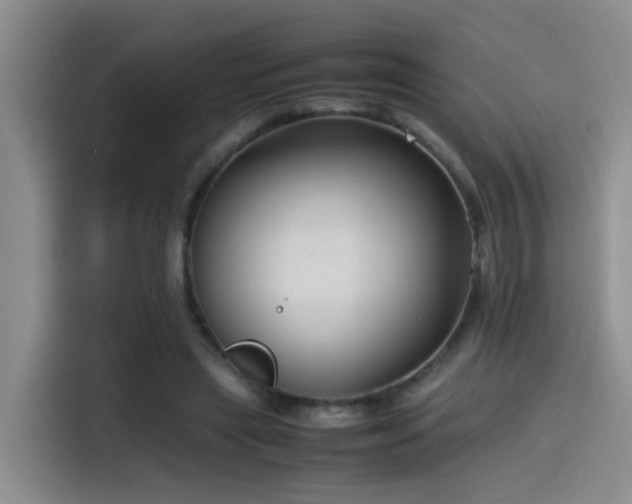 X0000115540445200911061503