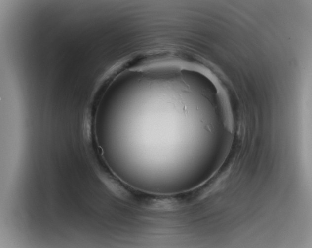 X0000115540446200911061503