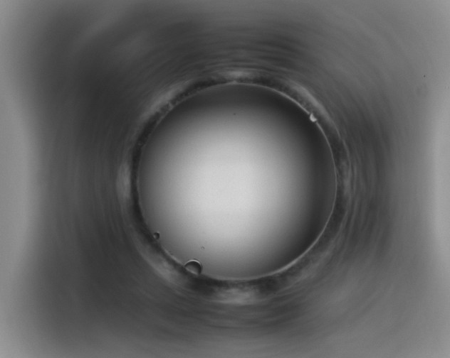 X0000115540447200911061503