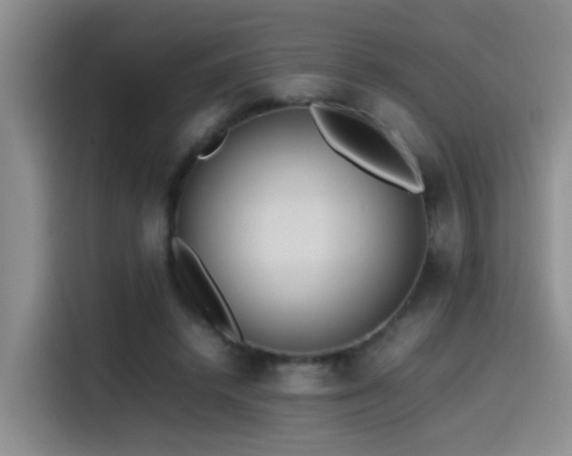 X0000115540448200911061503