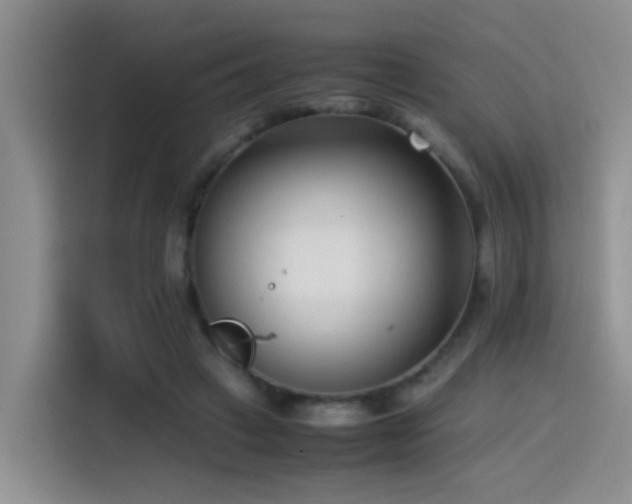 X0000115540449200911061503