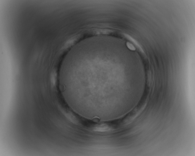 X0000115540451200911061503