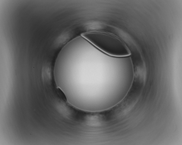 X0000115540452200911061503