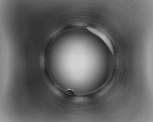 X0000115540453200911061503