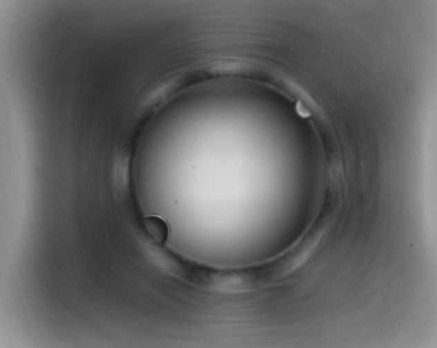 X0000115540454200911061503