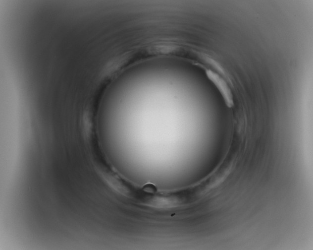 X0000115540455200911061503