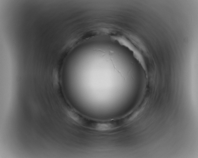 X0000115540457200911061503