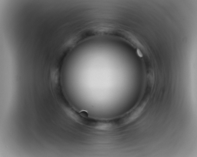 X0000115540458200911061503