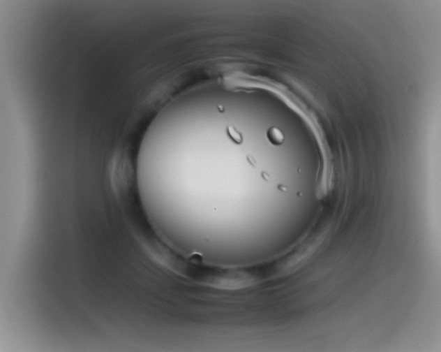 X0000115540459200911061503