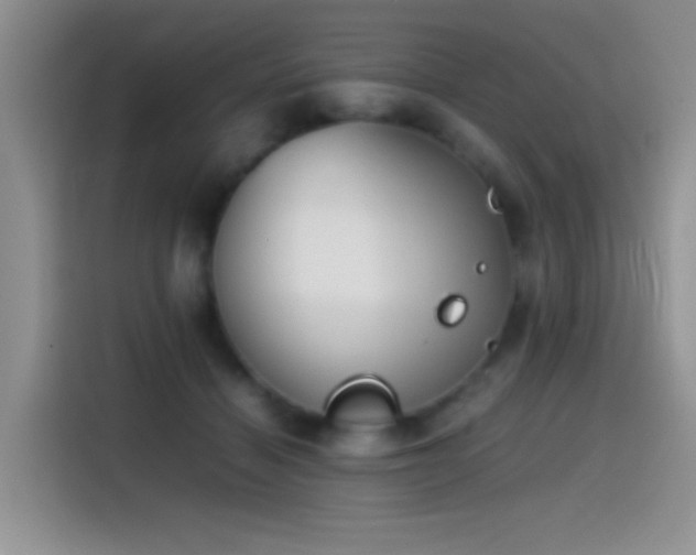 X0000115540460200911061503