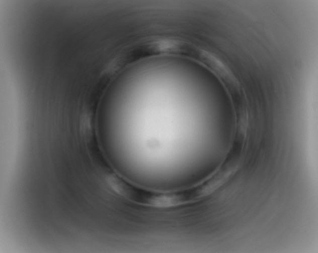 X0000115540461200911061503