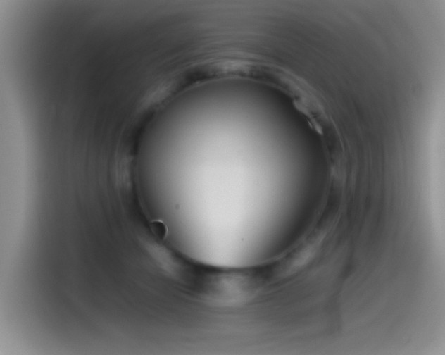 X0000115540462200911061503