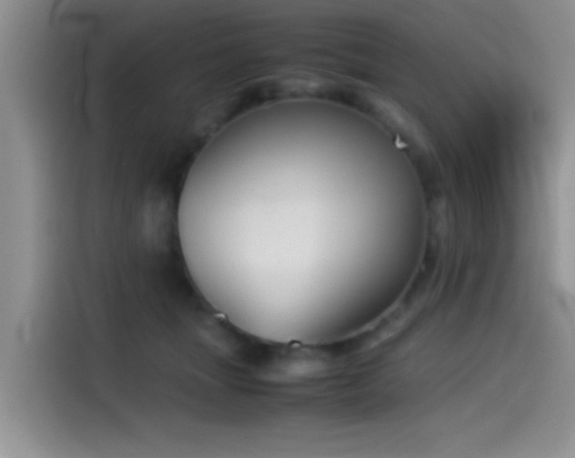 X0000115540463200911061503