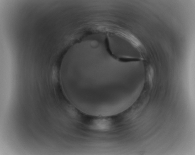 X0000115540465200911061504