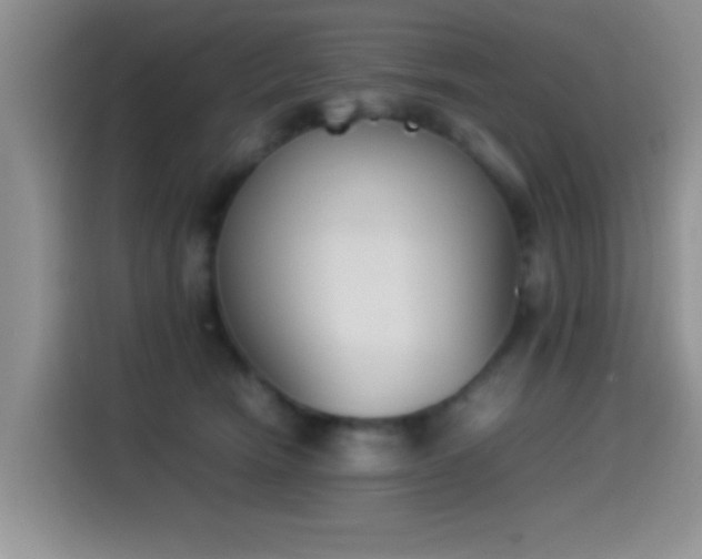 X0000115540466200911061504