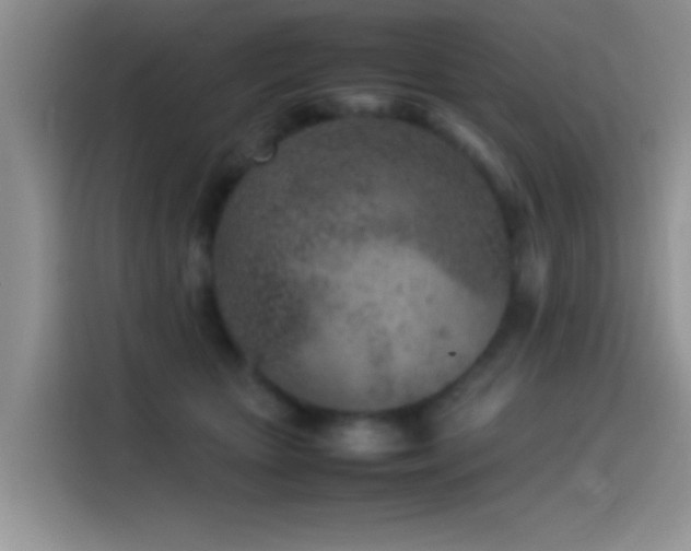 X0000115540467200911061504