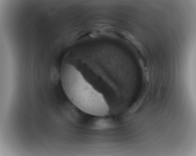 X0000115540471200911061504