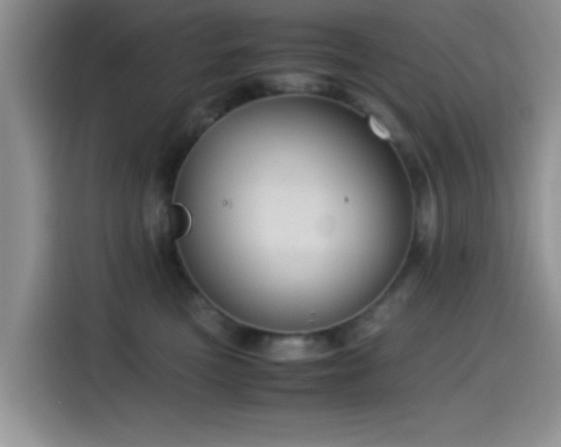 X0000115540473200911061504