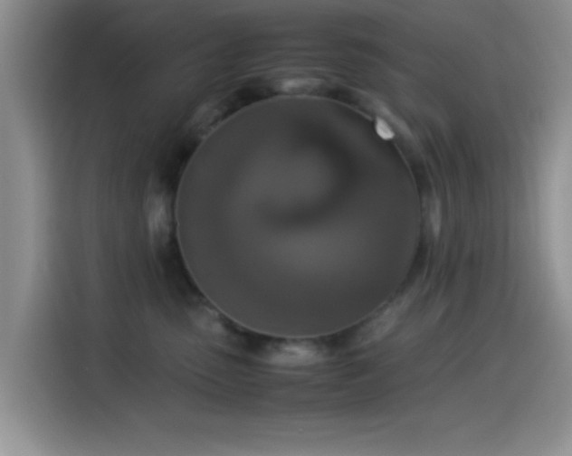 X0000115540475200911061504