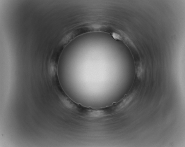 X0000115540476200911061504