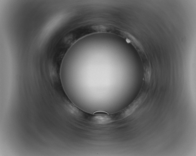 X0000115540477200911061504