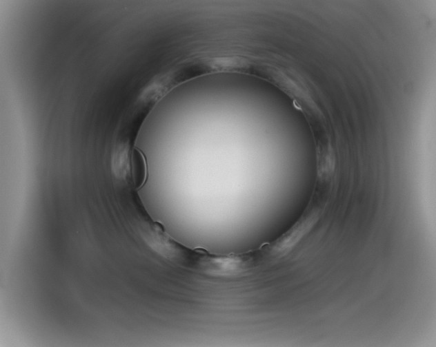 X0000115540478200911061504