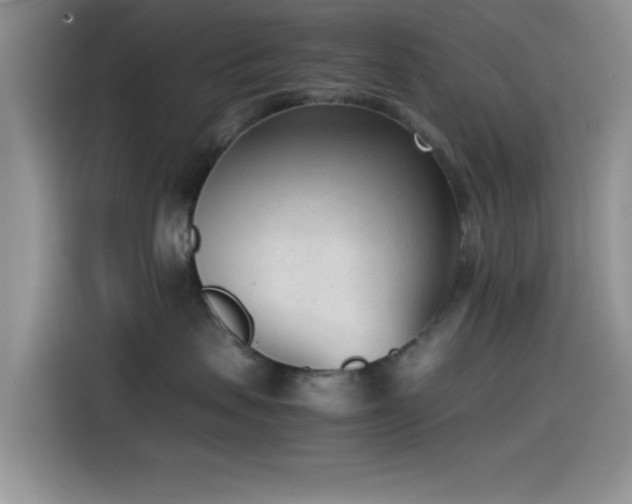 X0000115540479200911061504